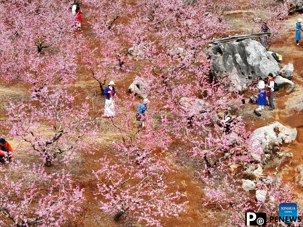 People enjoy spring across China