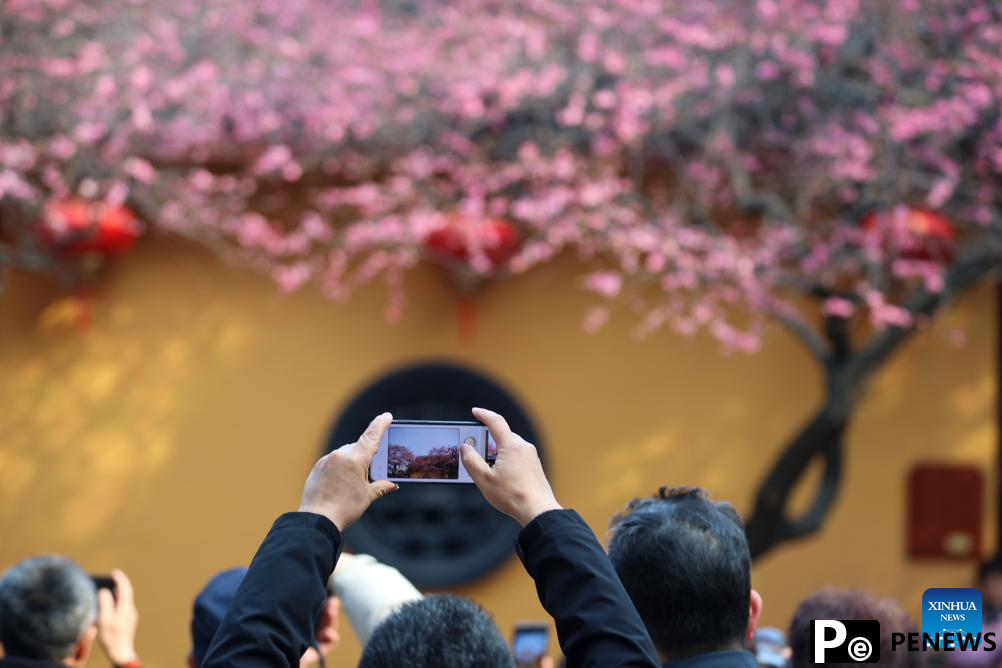 People enjoy spring across China
