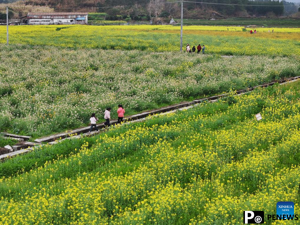People enjoy spring across China