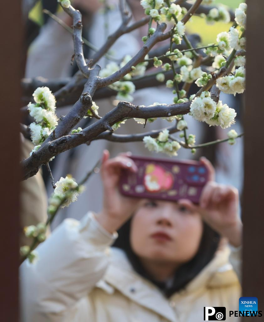 People enjoy spring across China