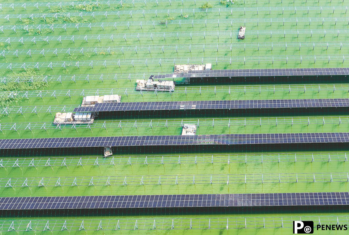 Nation to tackle green trade barriers