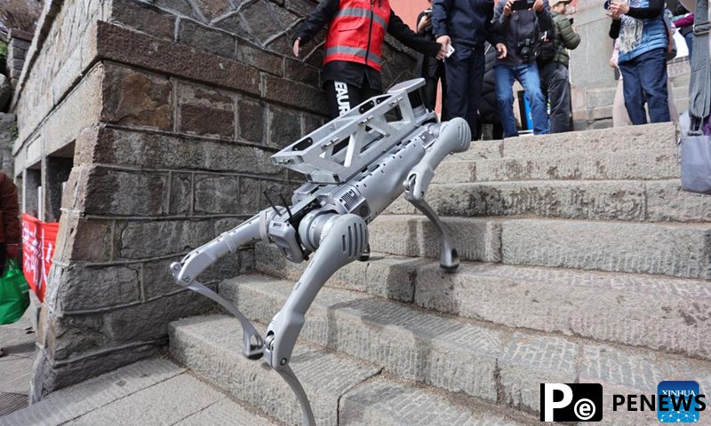 Robotic dogs take on new roles in China: Walking pets, delivering medicine, and even running marathons