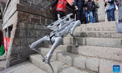 Robotic dogs take on new roles in China: Walking pets, delivering medicine, and even running marathons