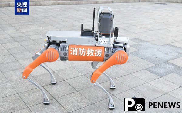 Robotic dogs take on new roles in China: Walking pets, delivering medicine, and even running marathons