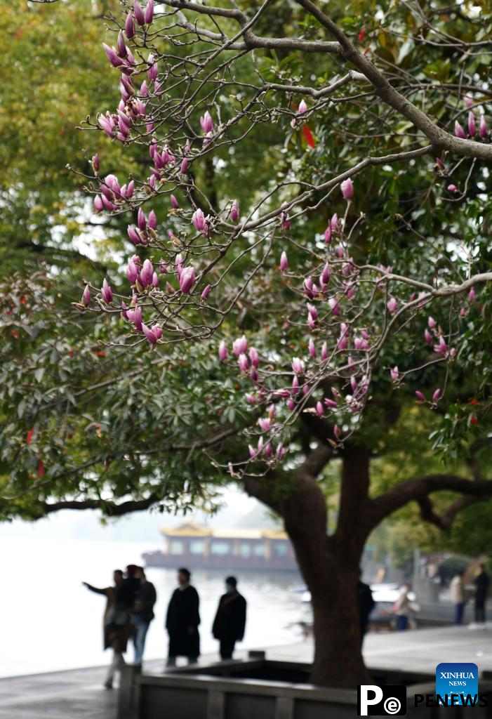 Tourists enjoy spring blossoms in Hangzhou, E China