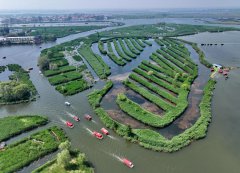 China meets multiple targets for 14th Five