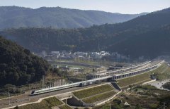 quality Belt and Road cooperation creates opportunities for global growth