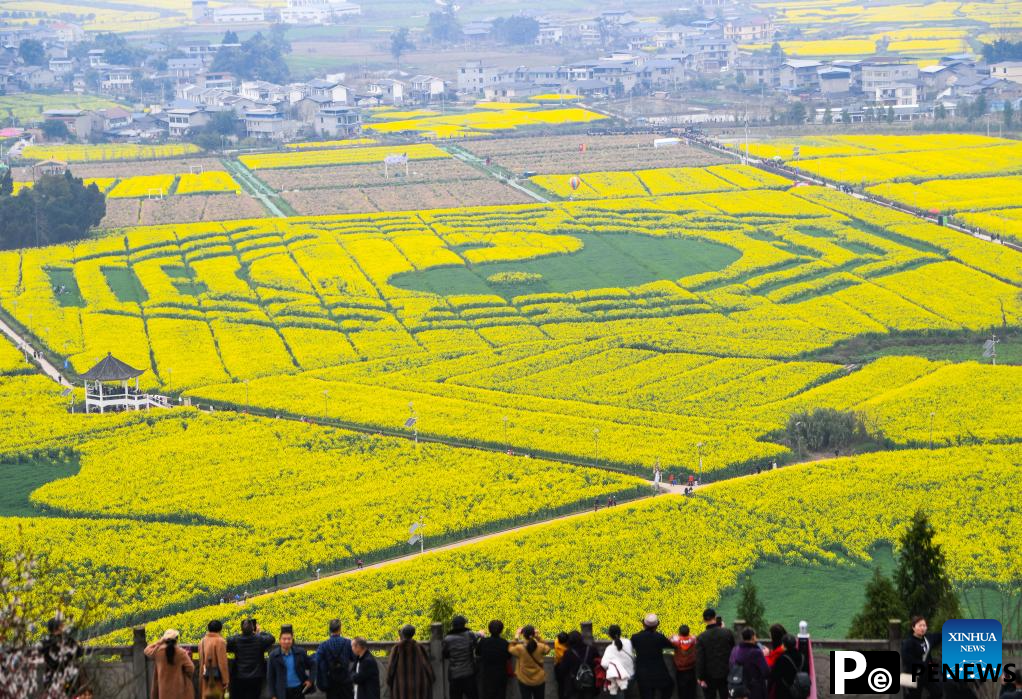 Tourists enjoy blooming rapeseed flowers at Chongkan scenic spot in Chongqing