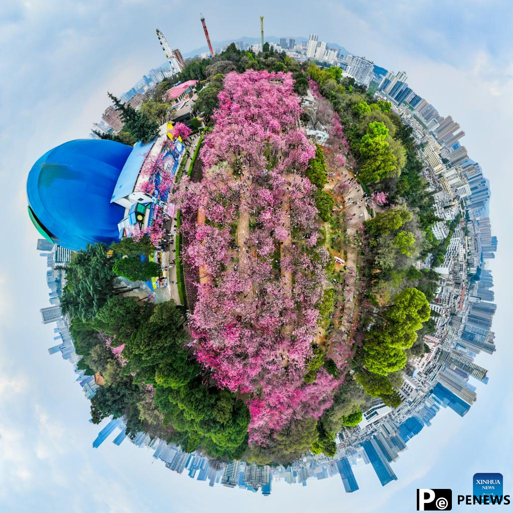 People enjoy cherry blossoms at Yuantongshan Park in Kunming, SW China