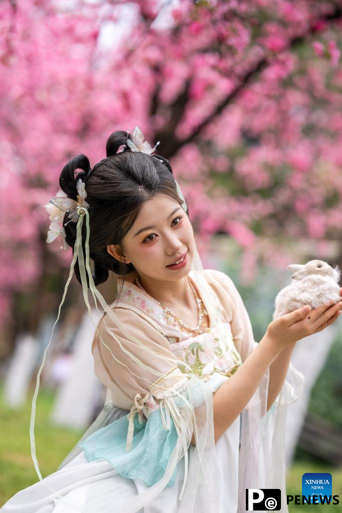 People enjoy cherry blossoms at Yuantongshan Park in Kunming, SW China