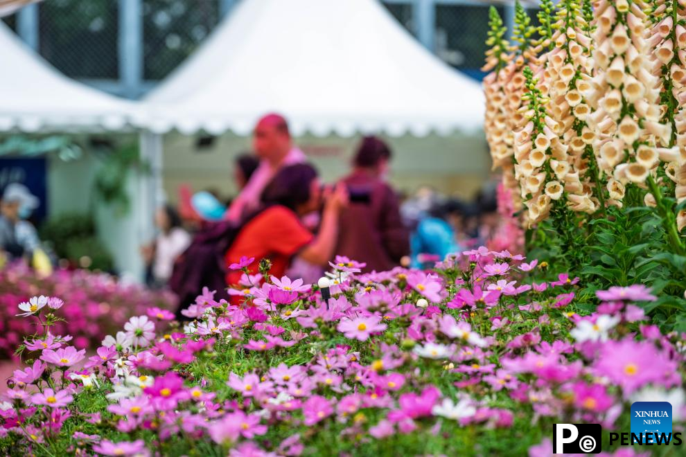 Hong Kong Flower Show 2025 kicks off