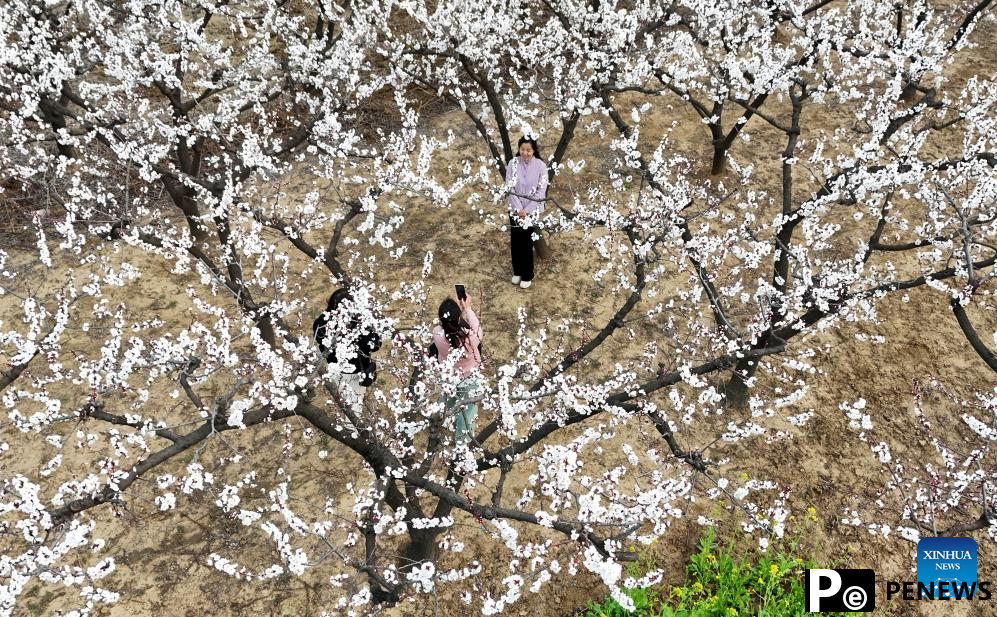Flowers in blossom across China