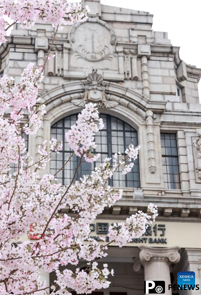 Flowers in blossom across China