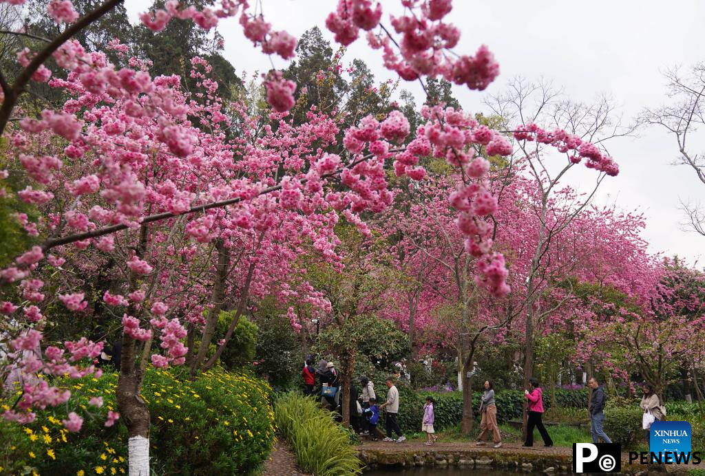 Flowers in blossom across China