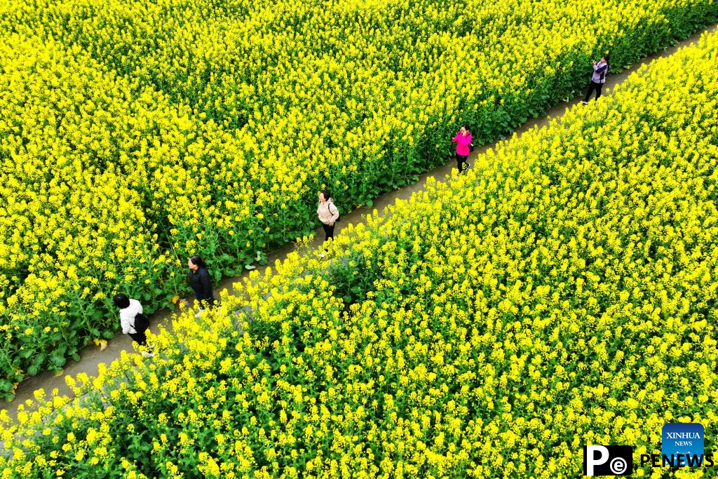 Flowers in blossom across China