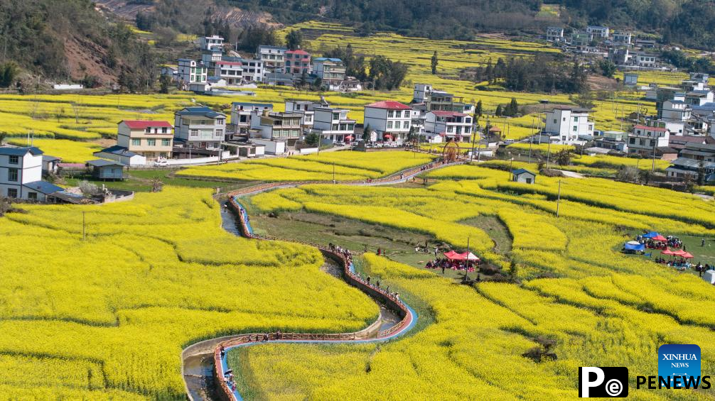Flowers in blossom across China