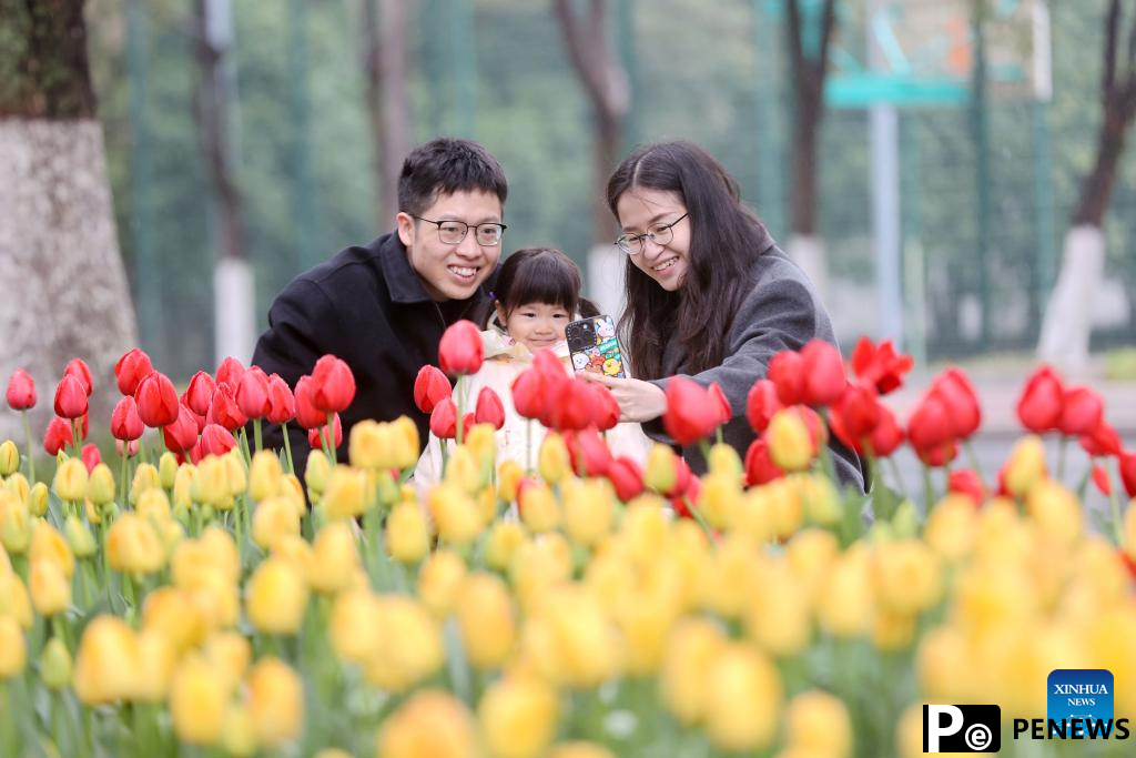 Flowers in blossom across China