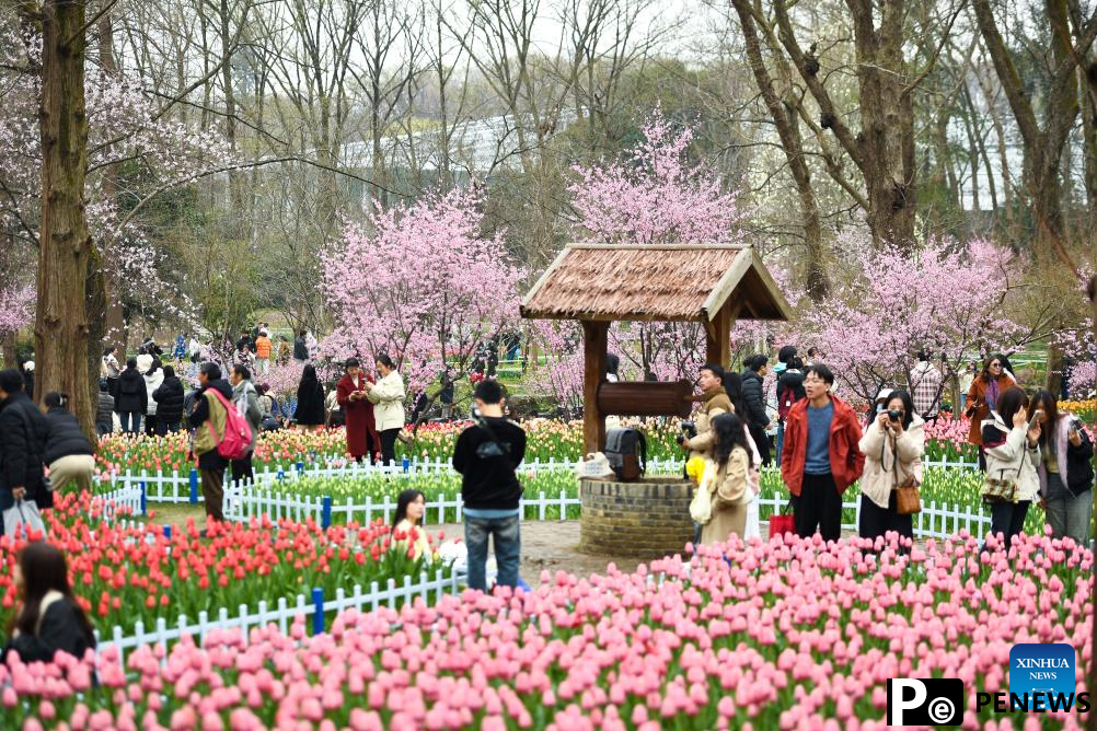 Flowers in blossom across China