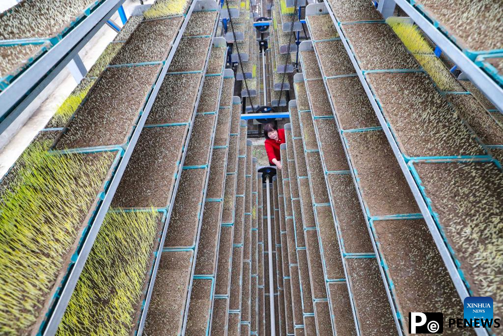 Modern technologies used during spring ploughing across China