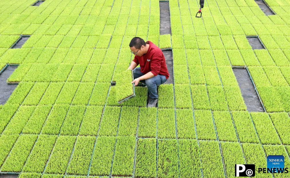 Modern technologies used during spring ploughing across China