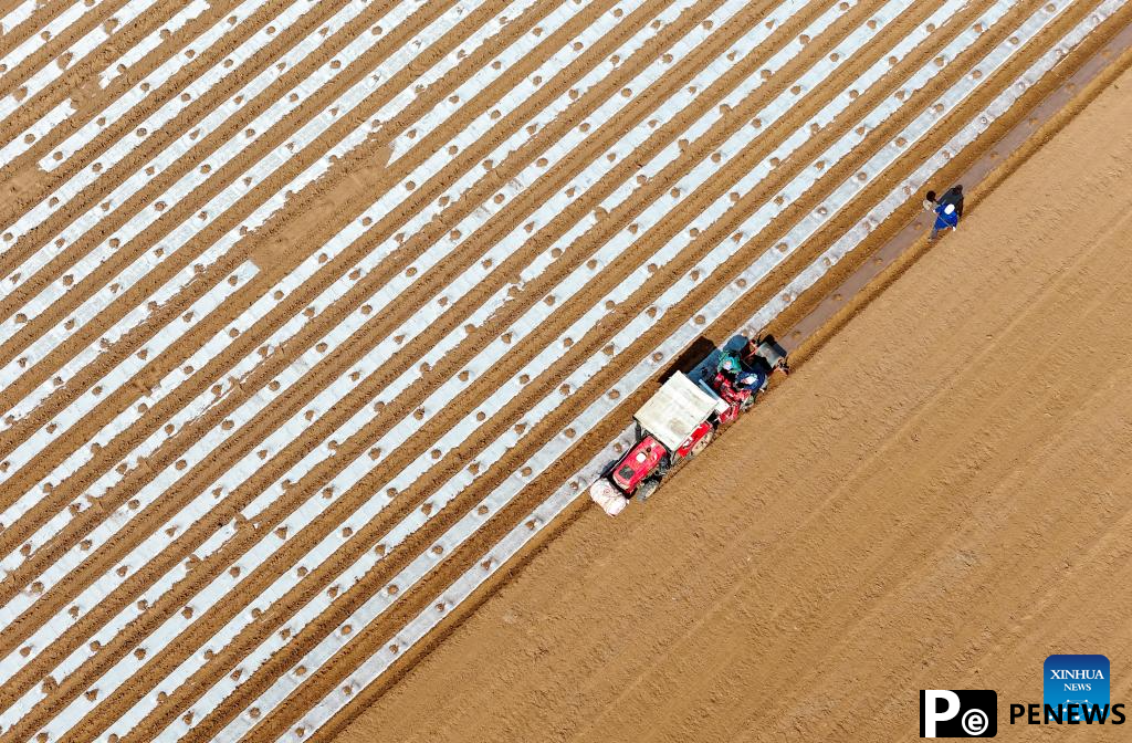 Modern technologies used during spring ploughing across China