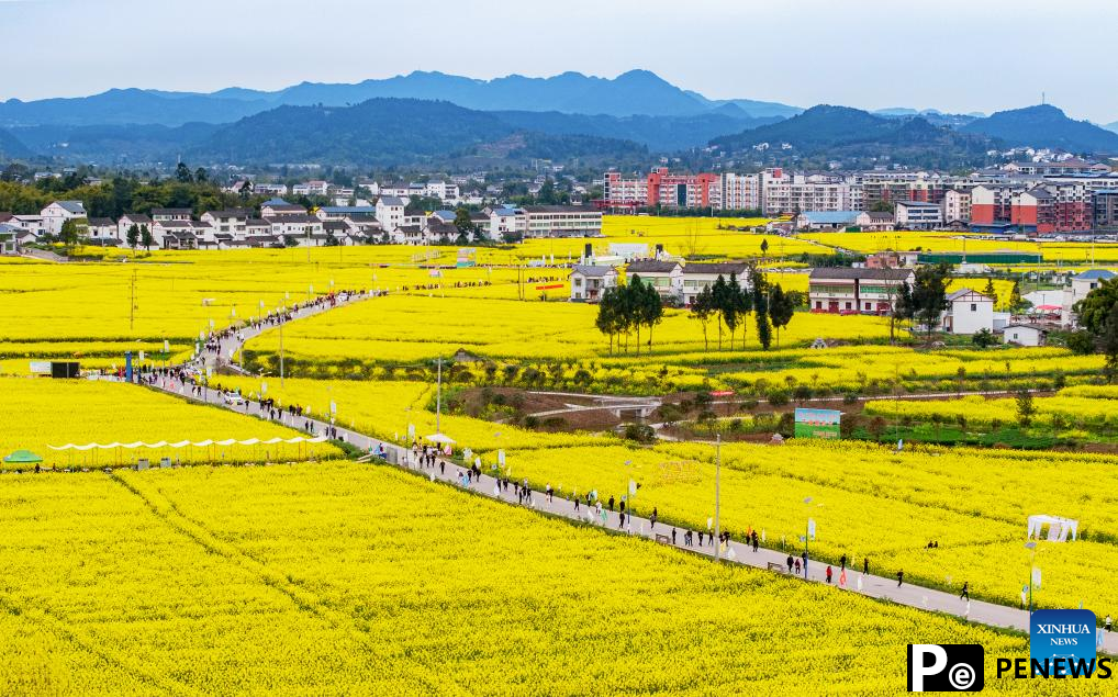 People enjoy spring blossoms across China