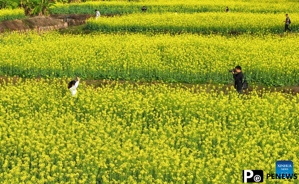 People enjoy spring blossoms across China