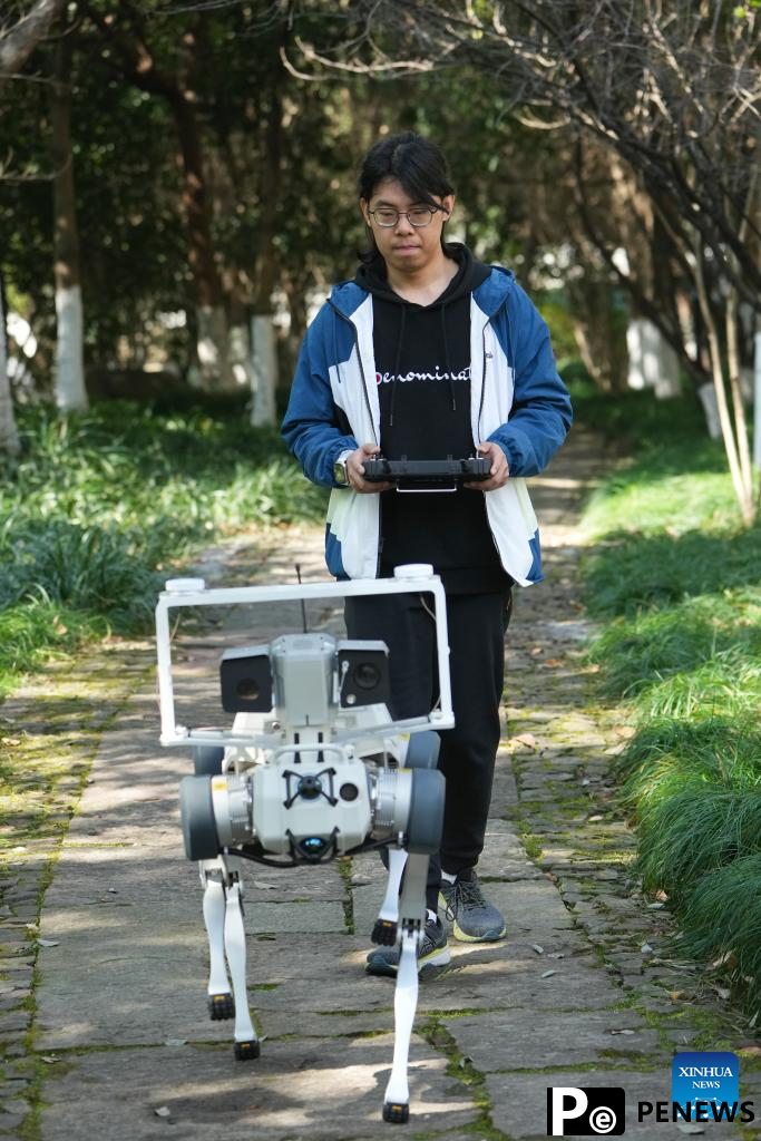Embodied AI development advances across China
