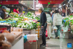 like walking assistance device targets China's expanding elderly market