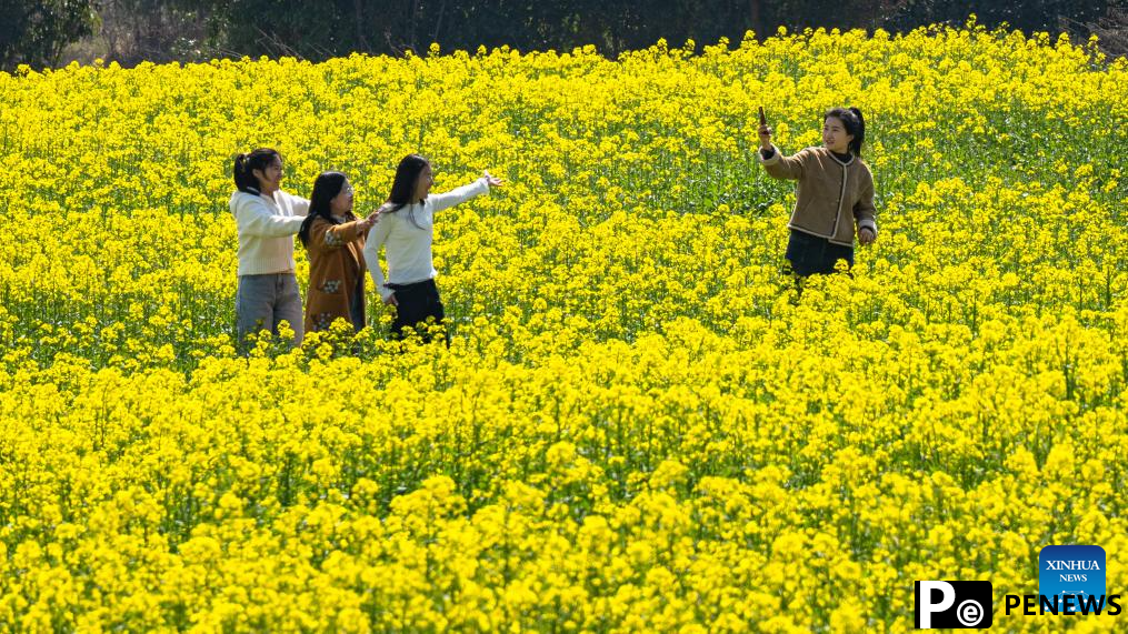 People enjoy scenery of blossoms across China
