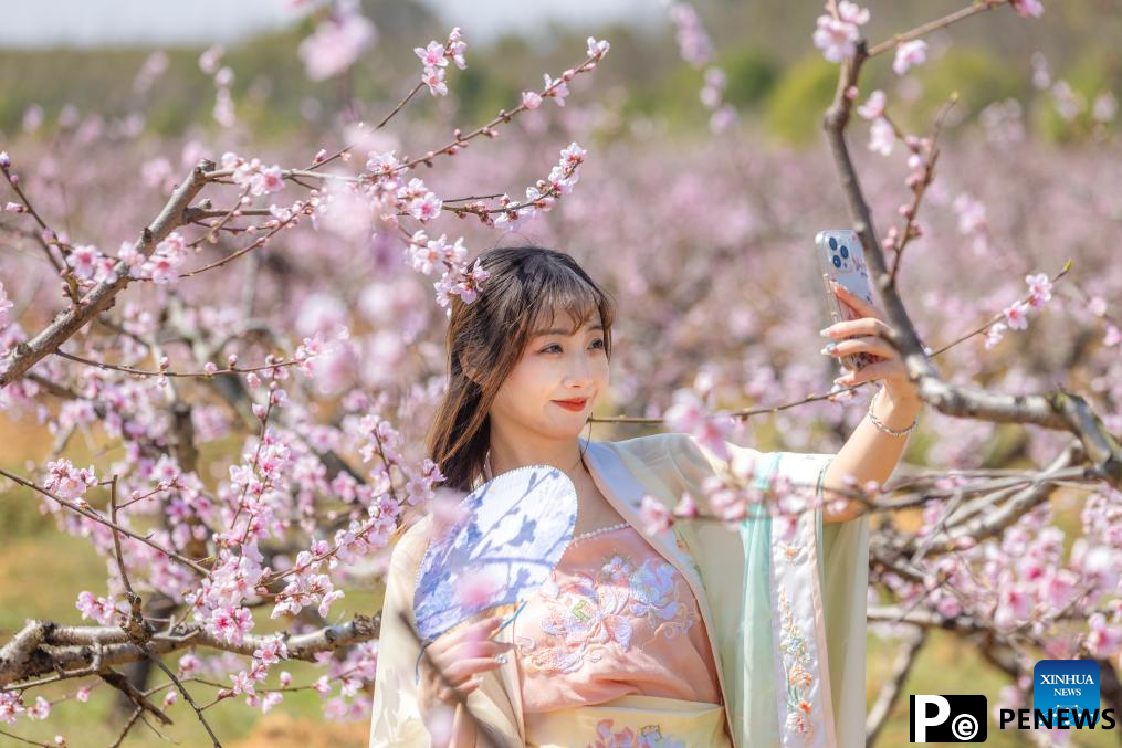 People enjoy scenery of blossoms across China