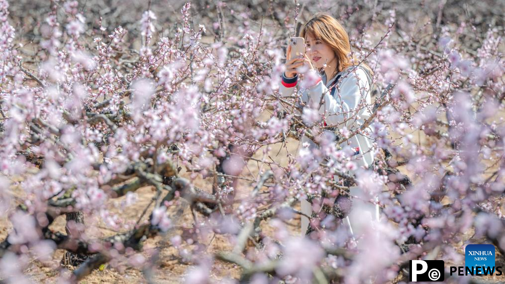 People enjoy scenery of blossoms across China