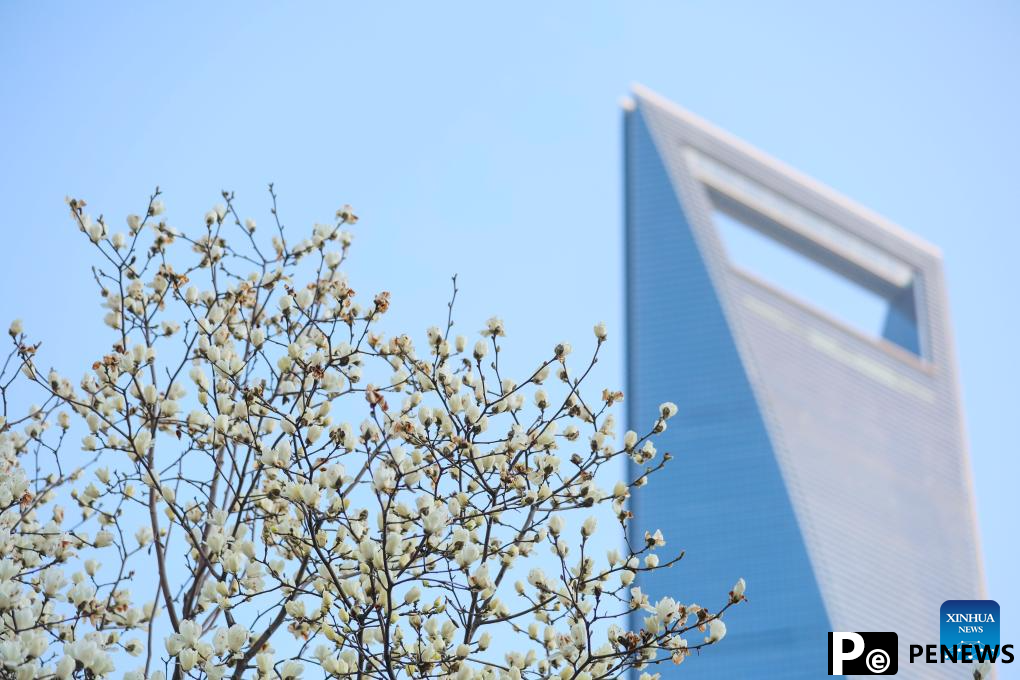 People enjoy scenery of blossoms across China