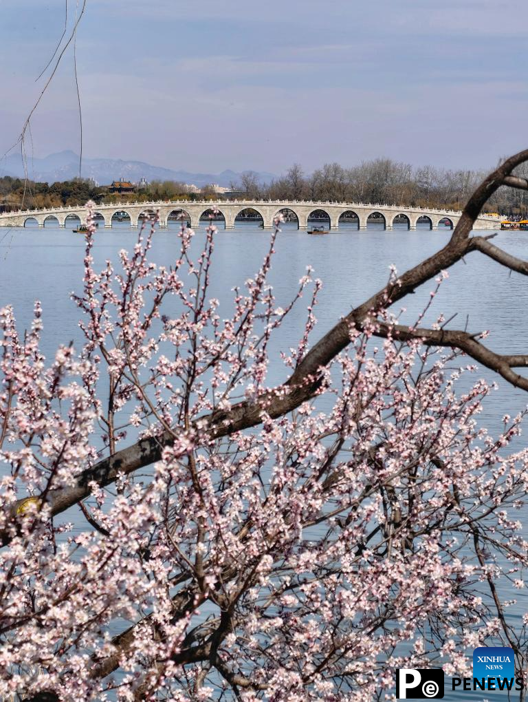 Tourists enjoy blossoms at Summer Palace in Beijing