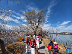 Tourists enjoy blossoms at Summer Palace in Beijing
