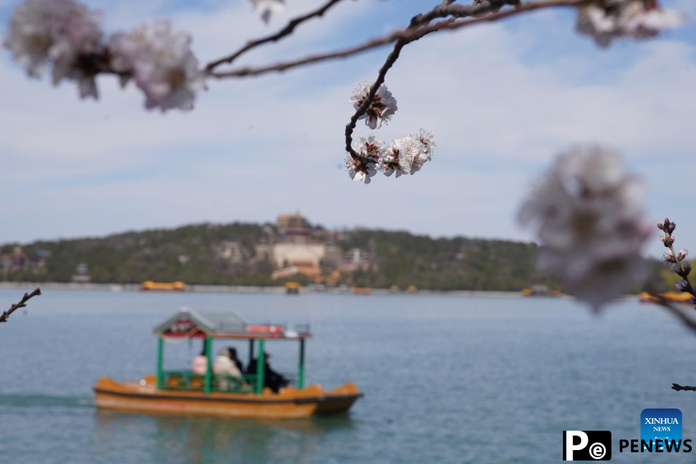 Tourists enjoy blossoms at Summer Palace in Beijing