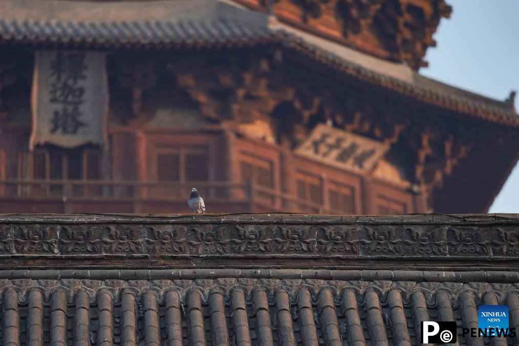 In pics: Sakyamuni Pagoda of Fogong Temple in Yingxian County, China