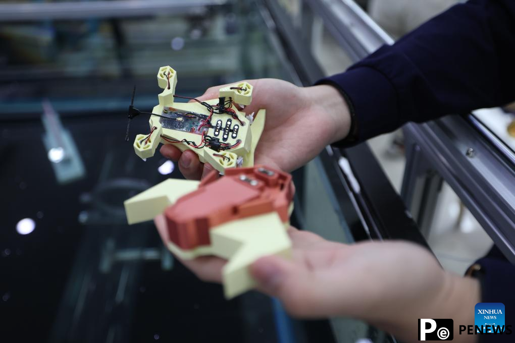 Bionic robots promote fishery development in China