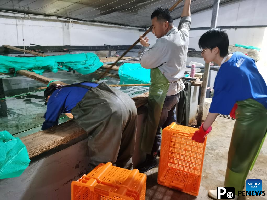 Bionic robots promote fishery development in China