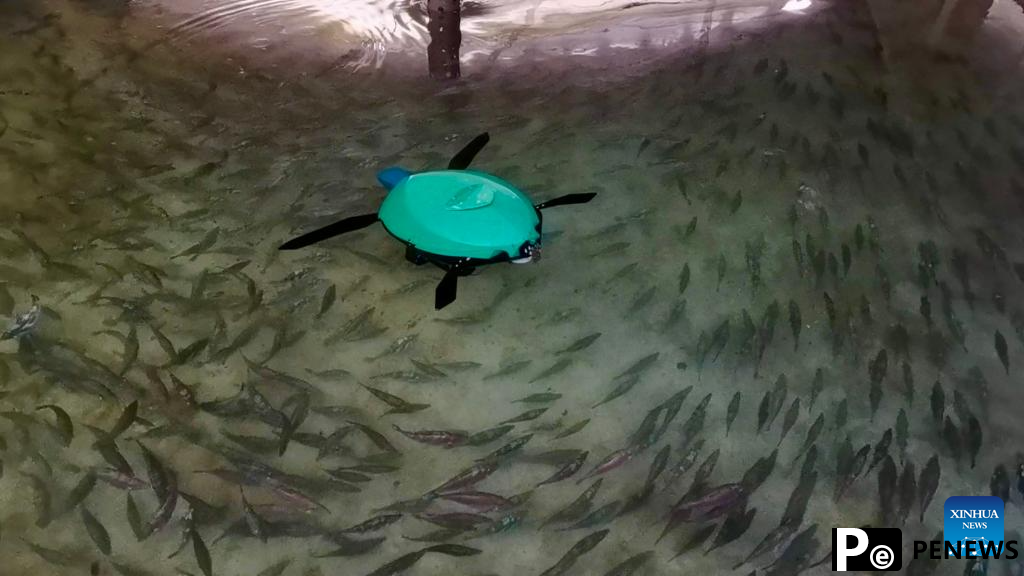 Bionic robots promote fishery development in China