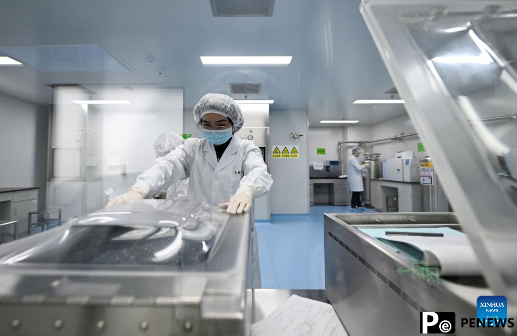 Tianjin Binhai New Area optimizes business environment to boost private economy