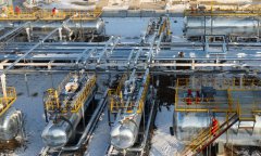 Oilfield with 100 million tons of shale oil reserve certified in E.China