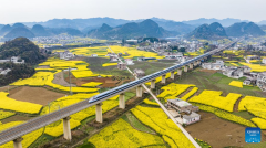 Spring scenery of Puding County, SW China's Guizhou