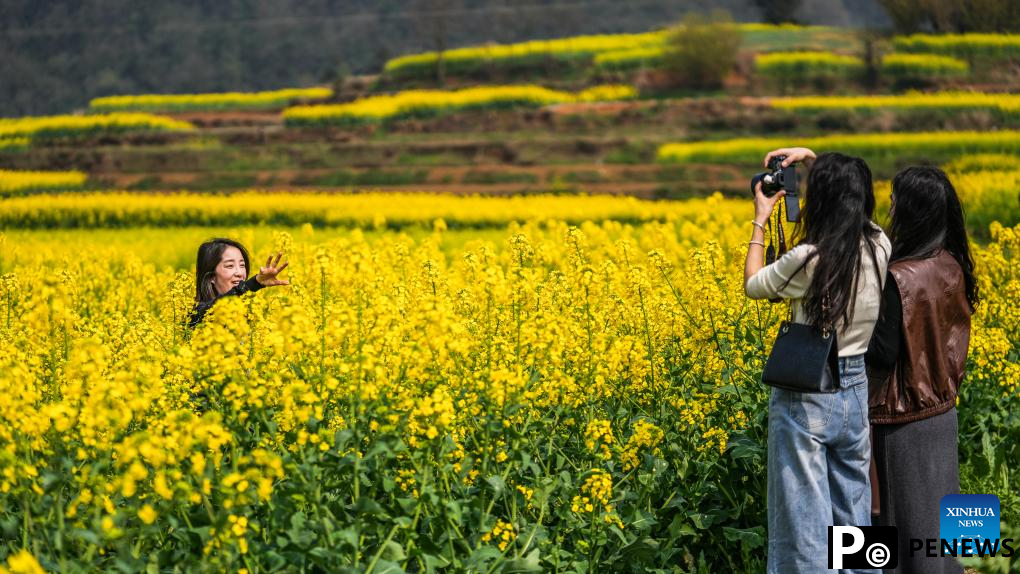 Scenery of blooming rapeseed flowers in Mugang Town, China
