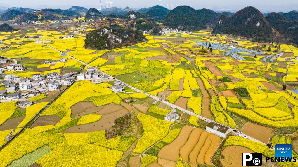 Scenery of blooming rapeseed flowers in Mugang Town, China