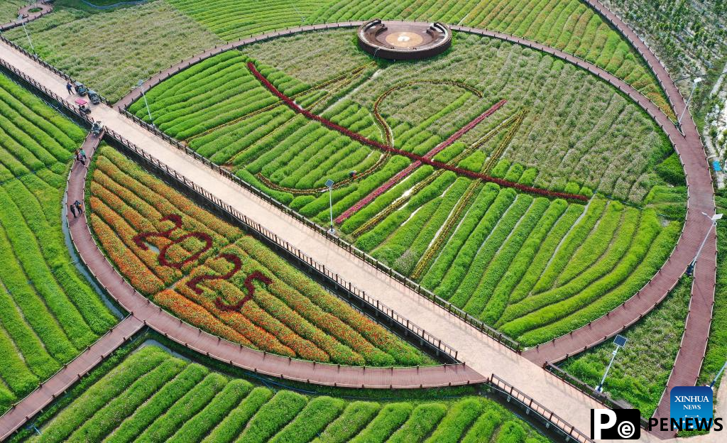 Qionghai builds exquisite array of rural clusters for tourism-driven rural revitalization