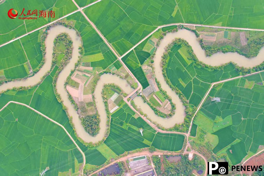 Explore spring vibes of a 36-curve stream in Haikou, S China