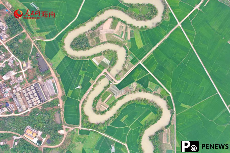 Explore spring vibes of a 36-curve stream in Haikou, S China