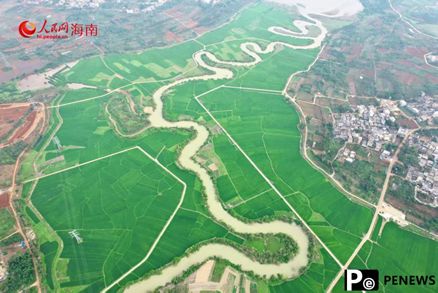 Explore spring vibes of a 36-curve stream in Haikou, S China