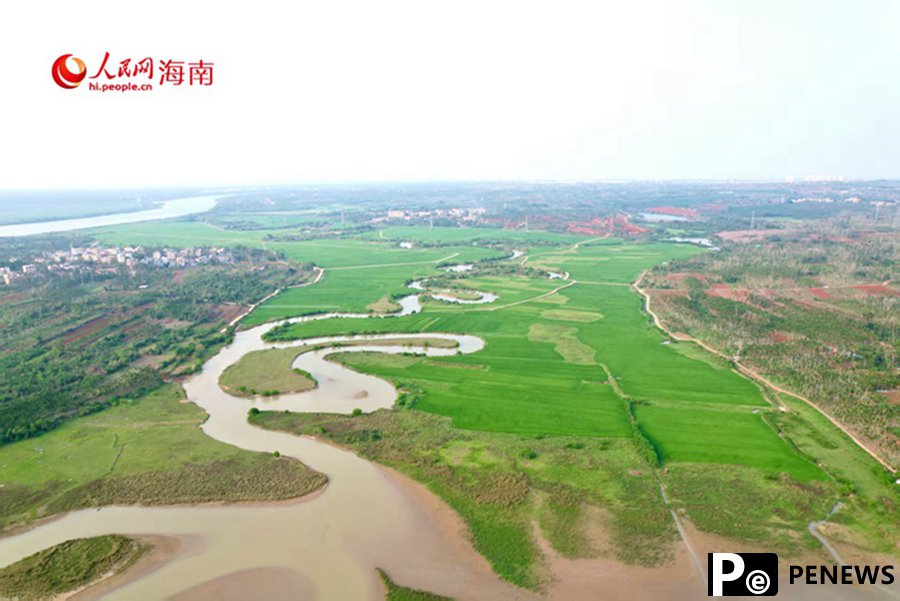 Explore spring vibes of a 36-curve stream in Haikou, S China